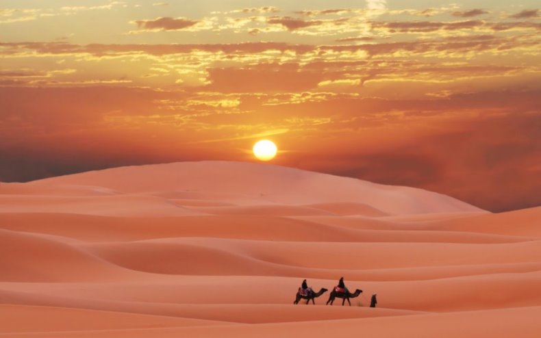 Чи є життя в пустелі Сахара? | Блоги БДМУ
